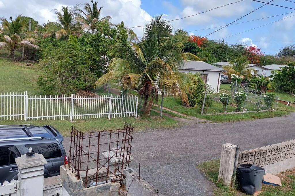 Conveniently Located, Quiet & Amp; Comfortable Christiansted Ngoại thất bức ảnh